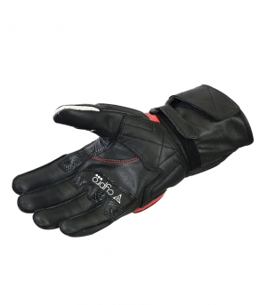 Sports Gloves